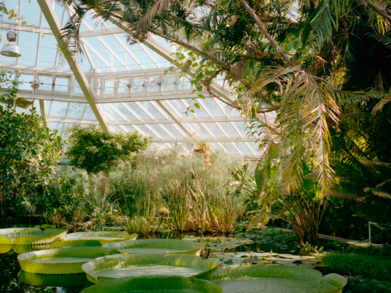 Botanical Garden