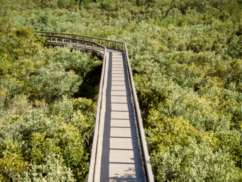 Sky Bridge